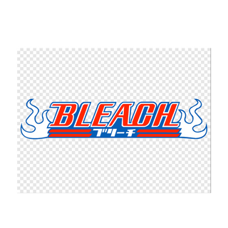 Bleach Anime Merchandise