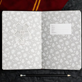 Official Harry Potter Diary | Gift for Harry Potter Fans