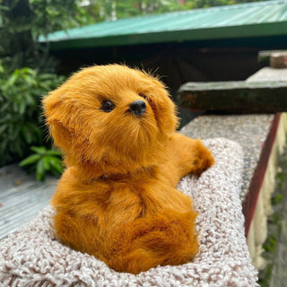 Cute Head Shaking Dog Showpiece | Activated Carbon Car Dashboard Decor