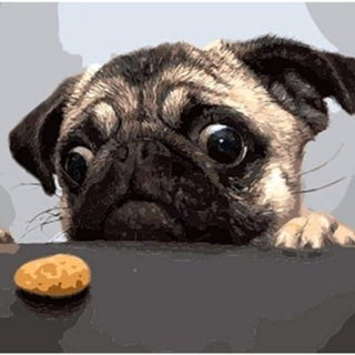 DIY - Paint by Number - Animal Collection - Geekmonkey