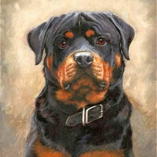 DIY - Paint by Number - Animal Collection