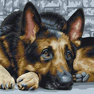 DIY - Paint by Number - Animal Collection