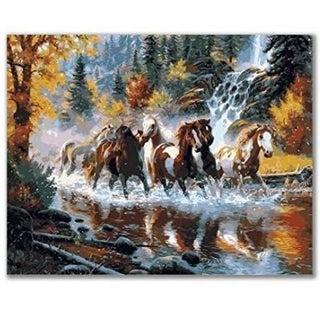 DIY - Paint by Number