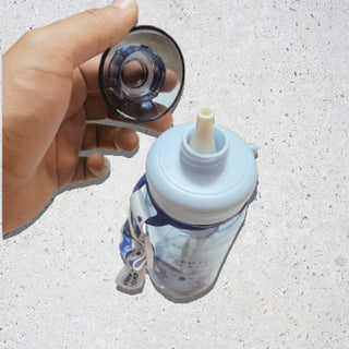 Little Koala Water Bottle