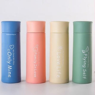 Classic Water Bottle with Glass Flask - 400 ml