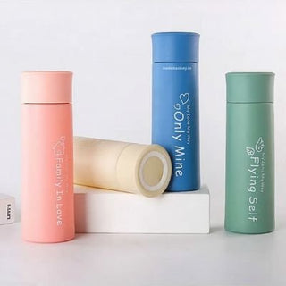 Classic Water Bottle with Glass Flask - 400 ml