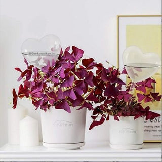 Heart Water Dispenser