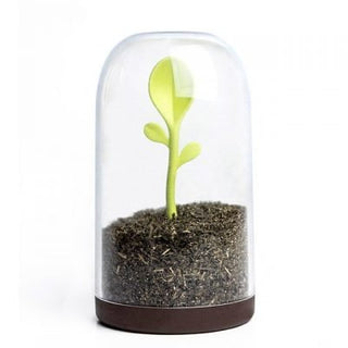Sprouting Scoop Jar | Stock Clearance Sale - Geekmonkey