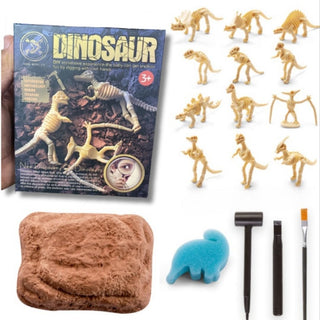Fossil Extraction Simulation Kit | Unique Gift for Little Archaeologist