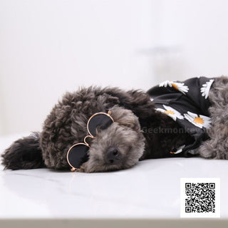 Pet Sunglasses