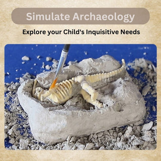 Fossil Extraction Simulation Kit | Unique Gift for Little Archaeologist