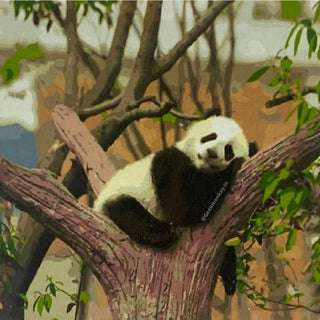 DIY Lazy Panda PBN Kit