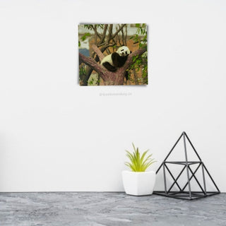 DIY Lazy Panda PBN Kit