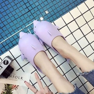 Dolphin Slippers