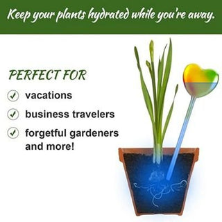 Heart Water Dispenser