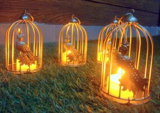 Peacock TLight Holder