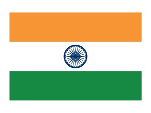 Indian Flag Temporary Tattoo