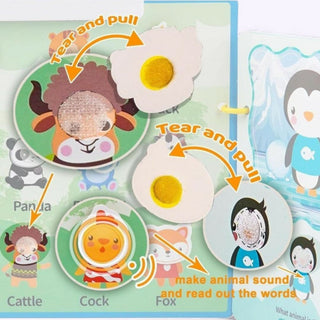 Interactive Sound Book 