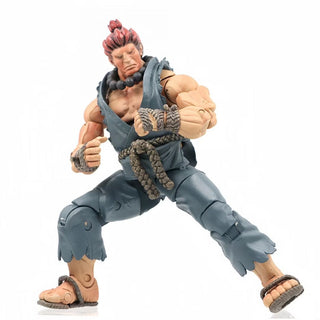 NECA Official Street Fighter IV – Series 1