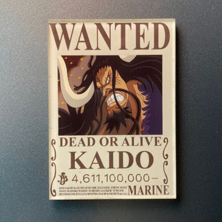 Latest Bounty Fridge Magnet | One Piece Anime Collectible Magnets