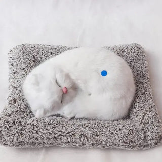 Cute Sleeping Kitty | Activated Carbon Dashboard Ornament (Absorbs Bad Smell)