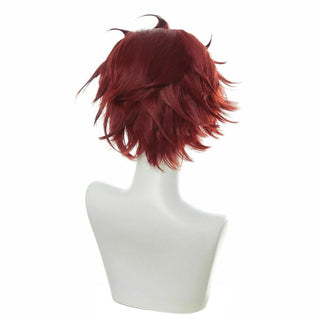 Tanjiro Cosplay Wig - Demon Slayer | Kimetsu No Yaiba Accessory