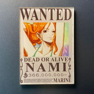 Latest Bounty Fridge Magnet | One Piece Anime Collectible Magnets