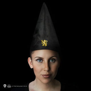 Harry Potter Student Hat Unisex Embroidered CineReplicas