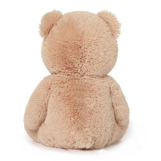 Fuzzy Bear Plush Toy