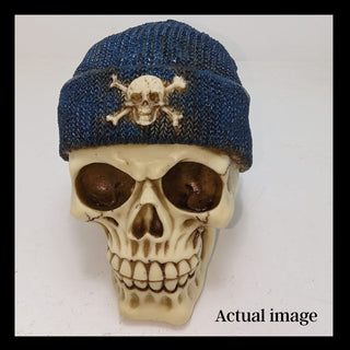 Blue Skull Cap Decor
