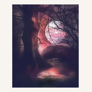 DIY - Paint by Number - Moonlit Night (Framed)