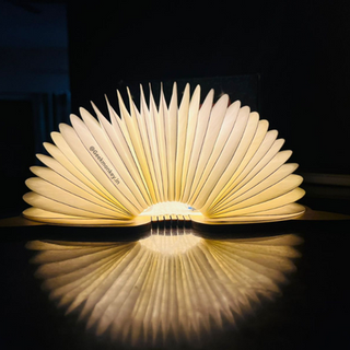 Pretty Piggy Foldable Lamp - Book Style Lamp