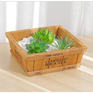 wooden succulent tray
