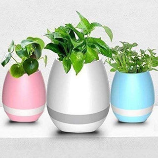 Indoor Planter- Smart Flower Pot