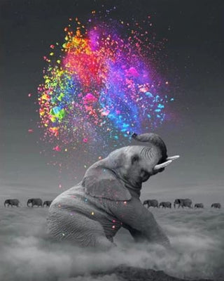 Paint by Number -Elephant
